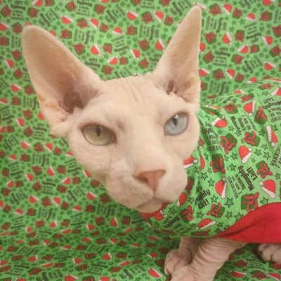 I'm on santa's naughty list