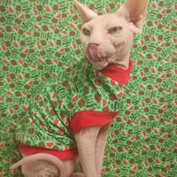 I'm On Santa's Naughty List - Thumbnail 1