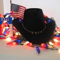 Christmas Holiday- LED Chili Pepper string lights - 50 Peppers per string - - 13.5 ft - free ship - Thumbnail 9