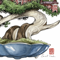 "Tokyo: Yamanote Bonsai" A4 Print - Thumbnail 1