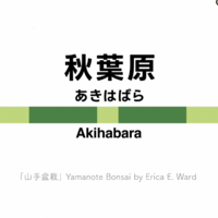"Akihabara: Yamanote Bonsai" A4 Print - Thumbnail 3