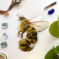 Honey Bee Dragon - Jumbo Holo Sticker - Thumbnail 1