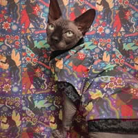 Krampus Knacht - Thumbnail 1