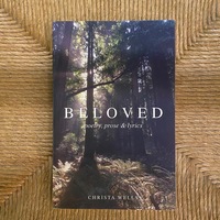 Signed Book Bundle - BELOVED, BEFORE IT GETS LIGHTER, A SAFE HOUSE - Thumbnail 1