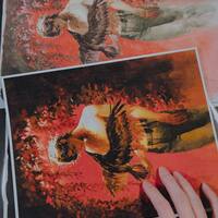 8*10 prints - various - Thumbnail 1