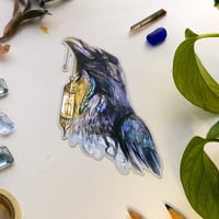 Lantern Crow - Jumbo Holo - Thumbnail 3