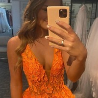 Tulle V-neck Long Formal Prom Dresses With Lace Appliques, PD230232 - Thumbnail 1