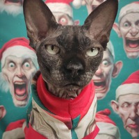 Skid Row Santas - Thumbnail 1