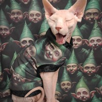 Judgy Elves - Thumbnail 2