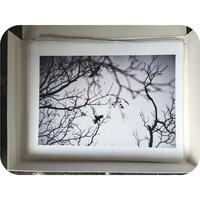 Inkjet Print on 8.5x11 Photo Paper - Thumbnail 4