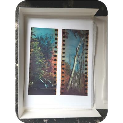 Inkjet print on 8.5x11 photo paper