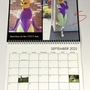 2025 Shocktress Calendar: Everything Cosplay Bagel Mix, wall size-1