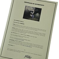 Print by August Vilella "FREEDOM"  - Thumbnail 4