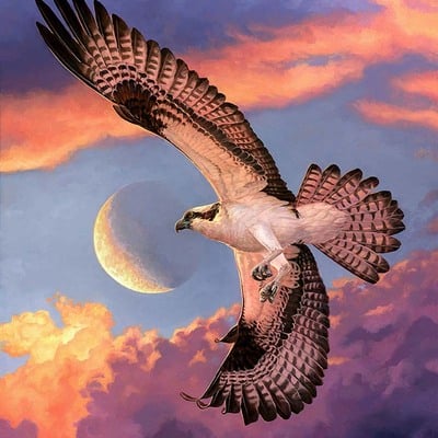 11x14 print "crescent" osprey 