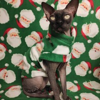 Jolly Ol' Saint Nicks - Luxe Fleece - Thumbnail 1