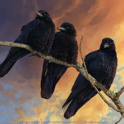 11x14 print "december drifters" american crows