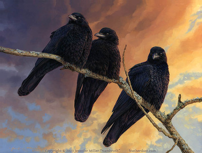 11x14 Print "December Drifters" American Crows