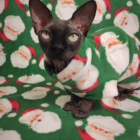 Jolly Ol' Saint Nicks - Luxe Fleece - Thumbnail 2