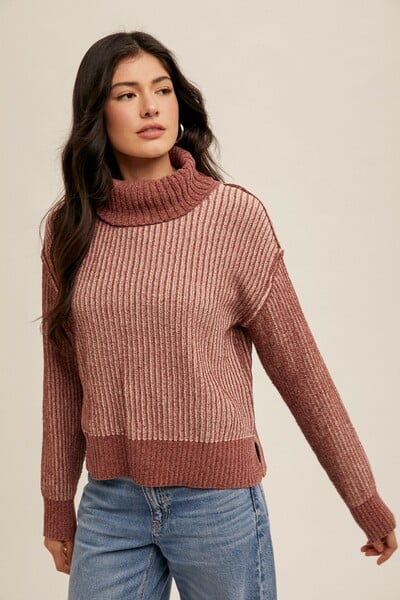 Two-tone Turtle Neck Sweater