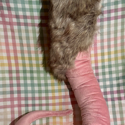 Rodent tail -2 styles to choose- -ready to ship-