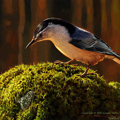 8x10 "jocose" white-breasted nuthatch and moth print