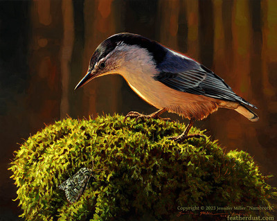 8x10 "Jocose" White-Breasted Nuthatch and Moth Print