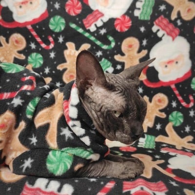 Santa's sweet tooth - luxe fleece