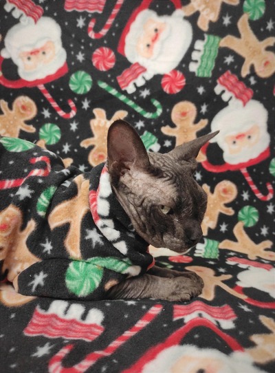 Santa's Sweet Tooth - Luxe Fleece