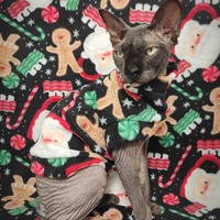 Santa's Sweet Tooth - Luxe Fleece - Thumbnail 1