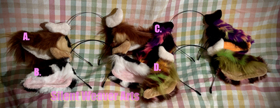 Cow Ears -Ready to Ship-