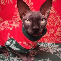 Reindeer Tree - Luxe Fleece - Thumbnail 1