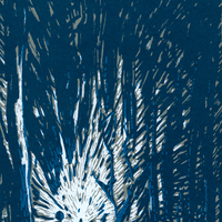 Crepusculine 1 - Thumbnail 4