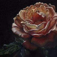 Original Oregon Rose Floral Art – Framed Colored Pencil Painting - Thumbnail 3
