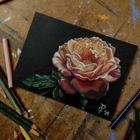 Original Oregon Rose Floral Art – Framed Colored Pencil Painting - Thumbnail 1