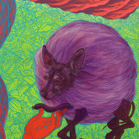 Hawtdawgs at Sunset - Thumbnail 1