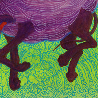 Hawtdawgs at Sunset - Thumbnail 3