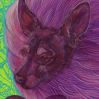 Hawtdawgs at Sunset - Thumbnail 5