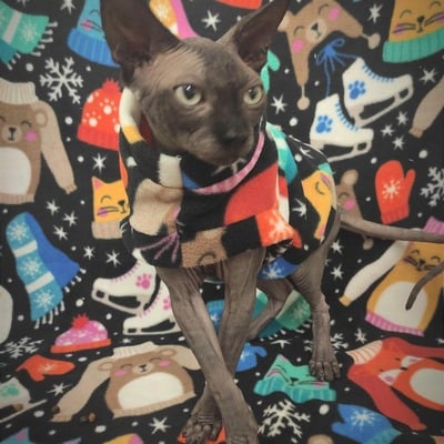 Let's go ice-skating! - luxe fleece