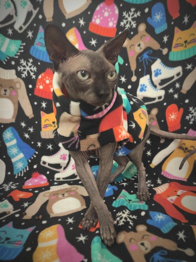 Let's Go Ice-skating! - Luxe Fleece