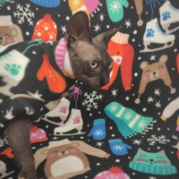 Let's Go Ice-skating! - Luxe Fleece - Thumbnail 1