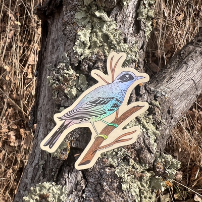 Sticker - Sun Bird Warbler