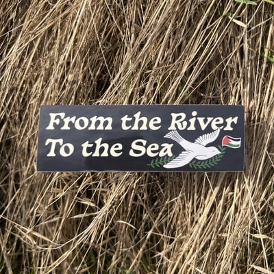 Sticker - free palestine (for relief fund)