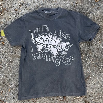 Snapper on comfort colors 