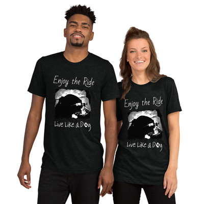 Enjoy the Ride V2 tri-blend Bella 3413 Short sleeve t-shirt