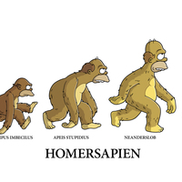 The simpsons serie poster Homer sapien - very high quality - digital format - Thumbnail 1