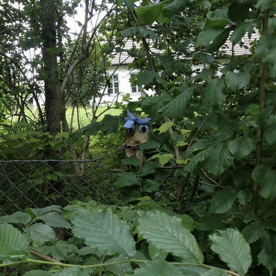 Franciska Og Emilie "Franciska Og Emilie" LP