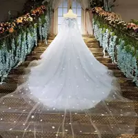 Custom made Cinderella Ball Gown Wedding Dresses Light Sky Blue 3D applique Princess Bridal Gowns With Long Wraps sweet wedding wear - Thumbnail 3