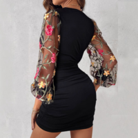 Mesh Long Sleeve Embroidered V-neck Dress - Thumbnail 2