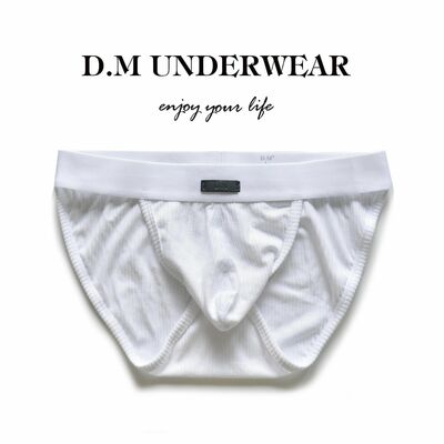 2PK Mens sexy D.M underwear modal high legs low-rise briefs underpants 
