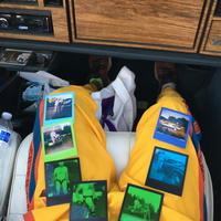 Polaroids - Thumbnail 2